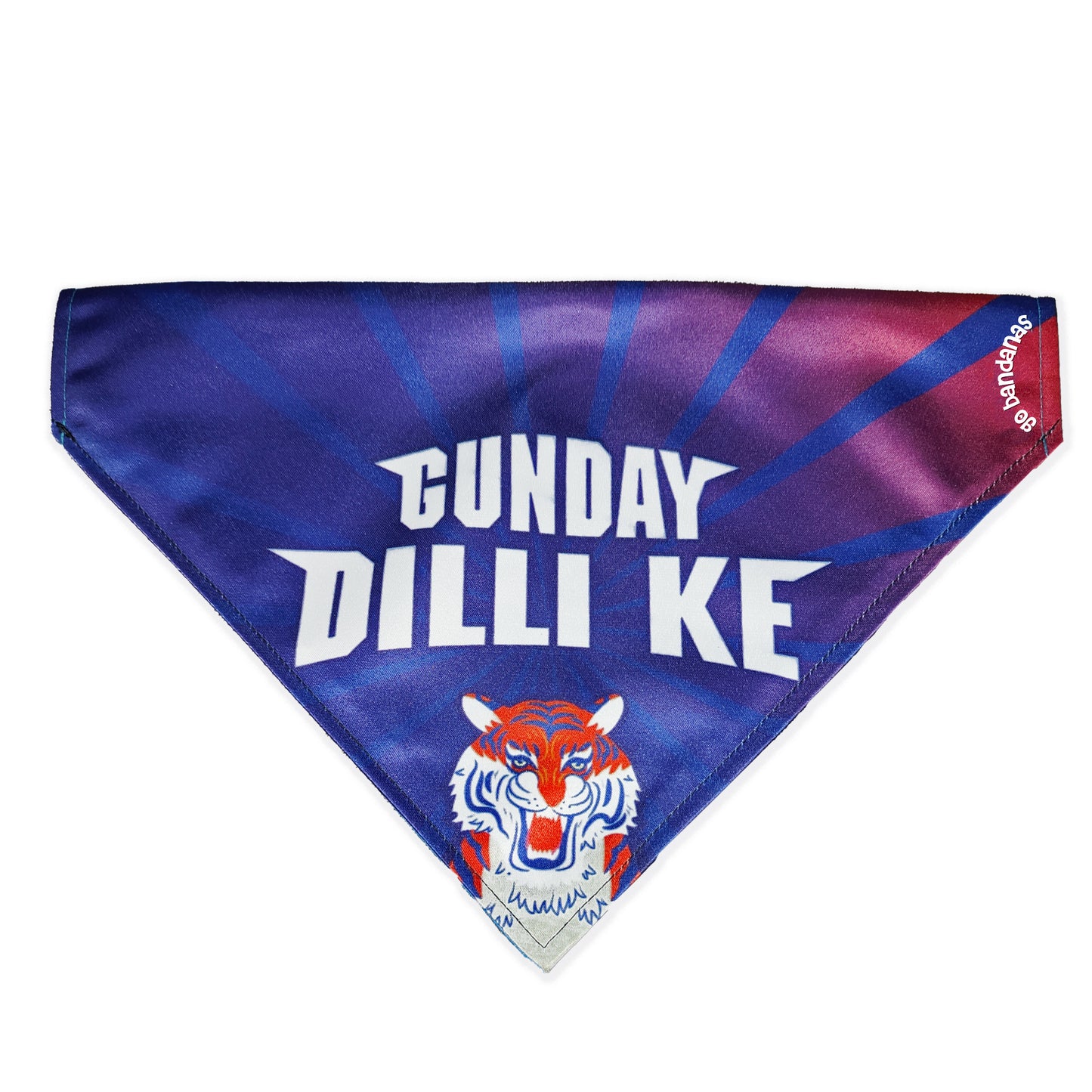 Go Bandanas Reversible Indian Pet League (IPL) Delhi Ke Gunday (Red) & Dill Se Desi (Multi Colour) Bandana for Pet Dogs & Cats