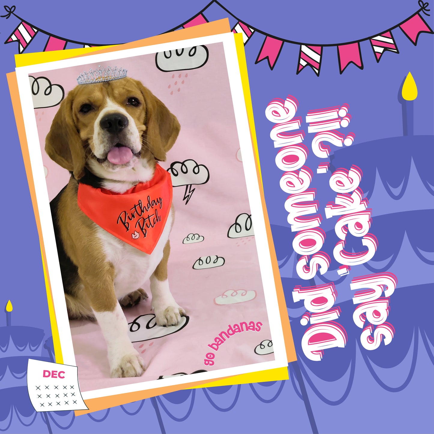 Go Bandanas Reversible Birthday Bitch (Red) & Dancing Queen (Pink) Adjustable Bandana for Pet Dogs