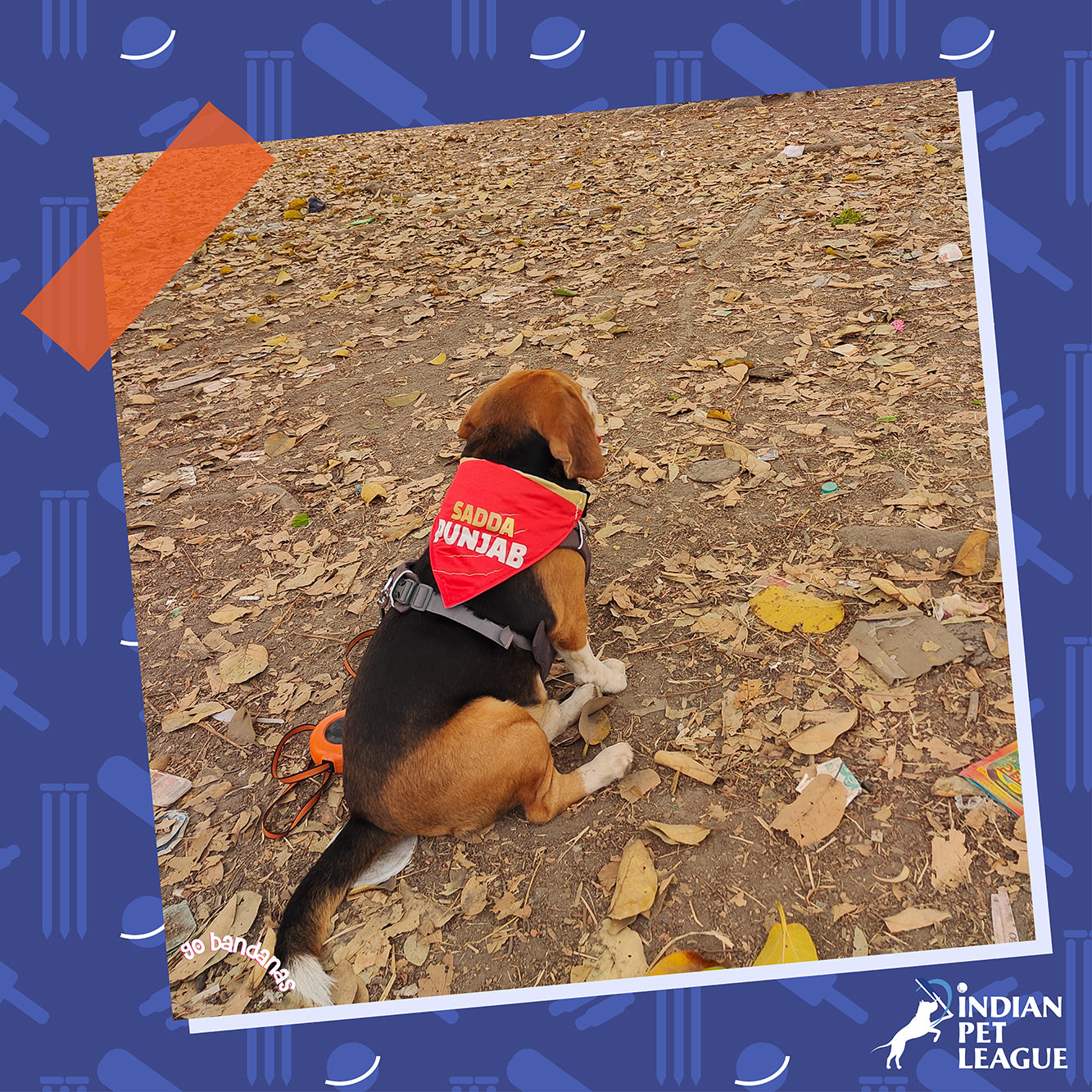 Go Bandanas Reversible Indian Pet League (IPL) Sadda Punjab (Red) & Dill Se Desi (Multi Colour) Bandana for Pet Dogs & Cats