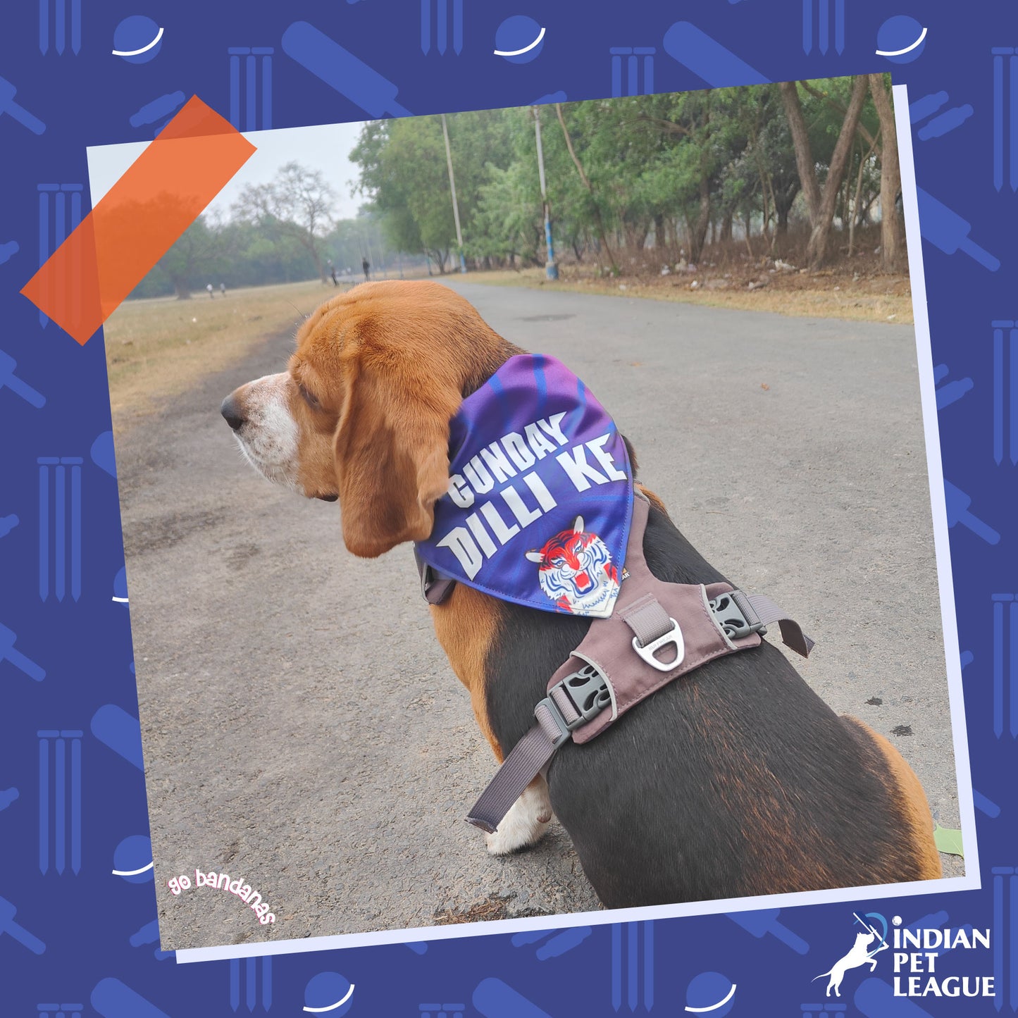 Go Bandanas Reversible Indian Pet League (IPL) Delhi Ke Gunday (Red) & Dill Se Desi (Multi Colour) Bandana for Pet Dogs & Cats