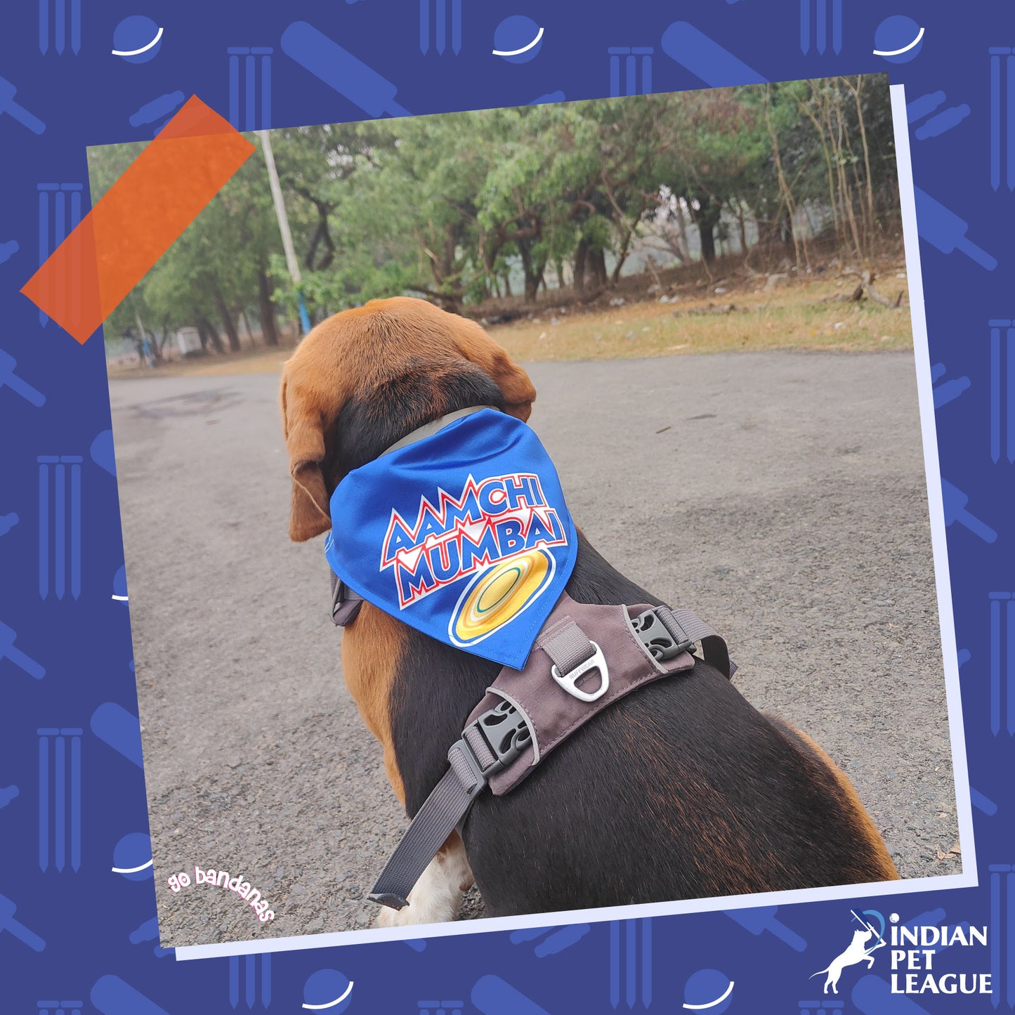 Go Bandanas Reversible Indian Pet League (IPL) Aamchi Mumbai (Blue) & Dill Se Desi (Multi Colour) Bandana for Pet Dogs & Cats