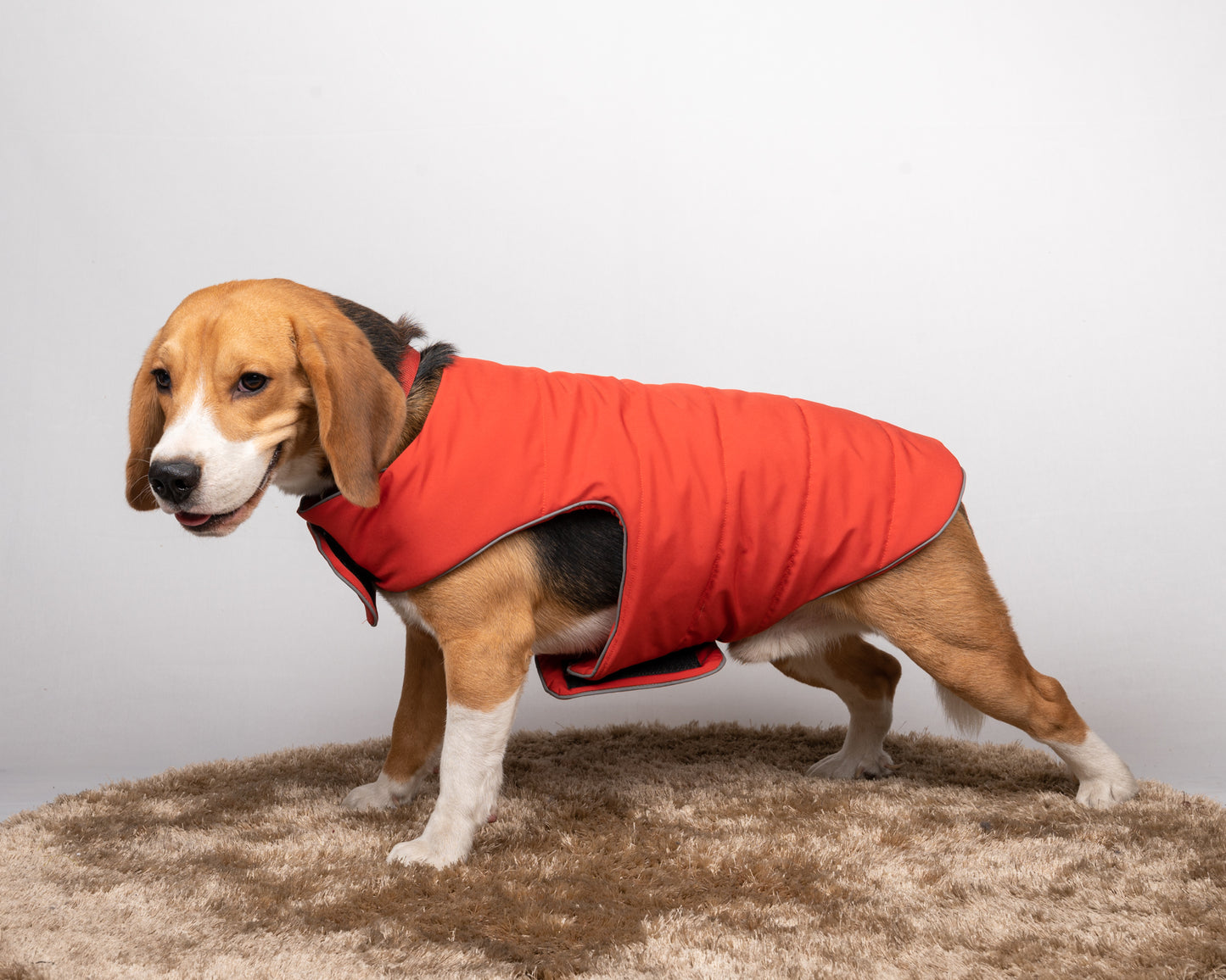 Pet snugs Rust Jacket - Rust