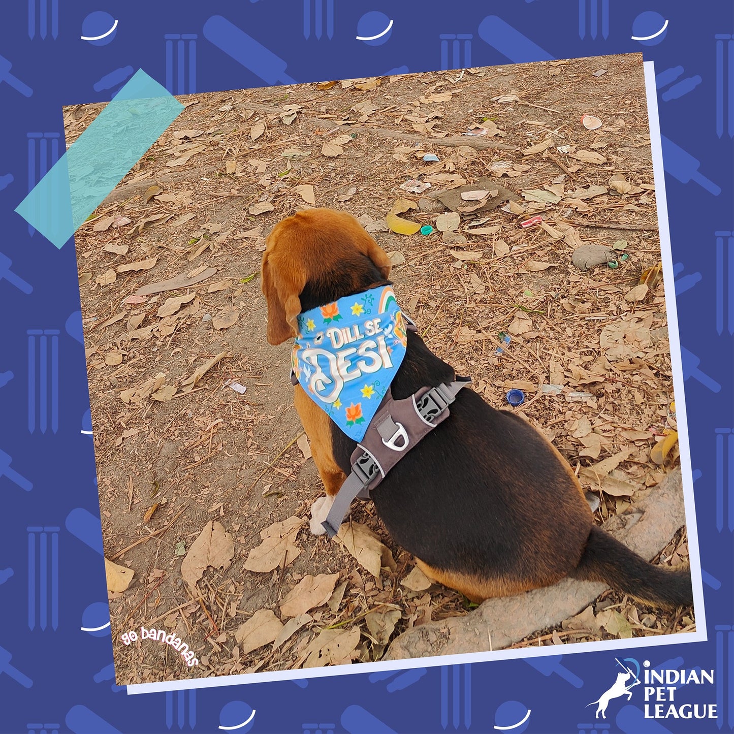 Go Bandanas Reversible Indian Pet League (IPL) Sadda Punjab (Red) & Dill Se Desi (Multi Colour) Bandana for Pet Dogs & Cats