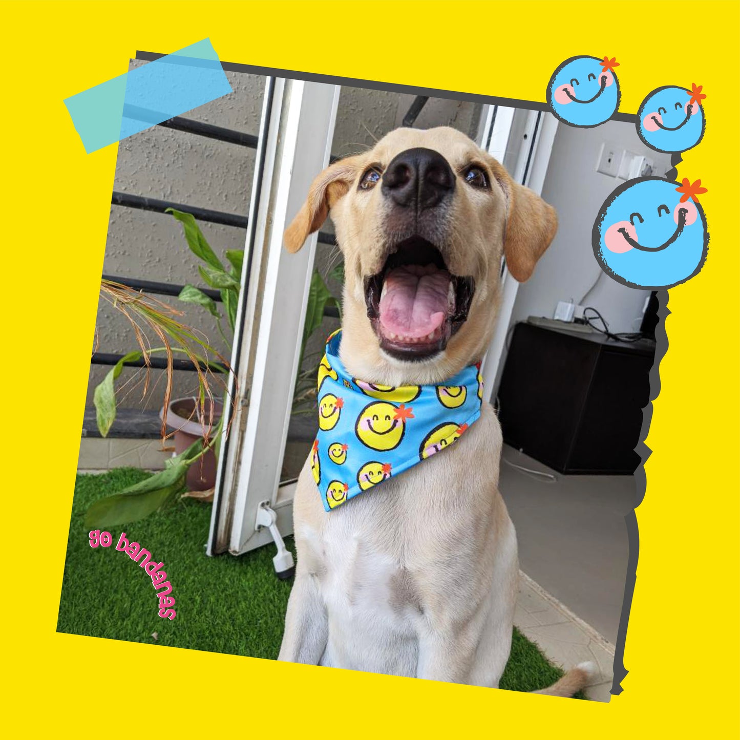 Go Bandanas Reversible Trouble Maker (Blue) & Contagious Smile (Yellow) Adjustable Bandana for Pet Dogs & Cats