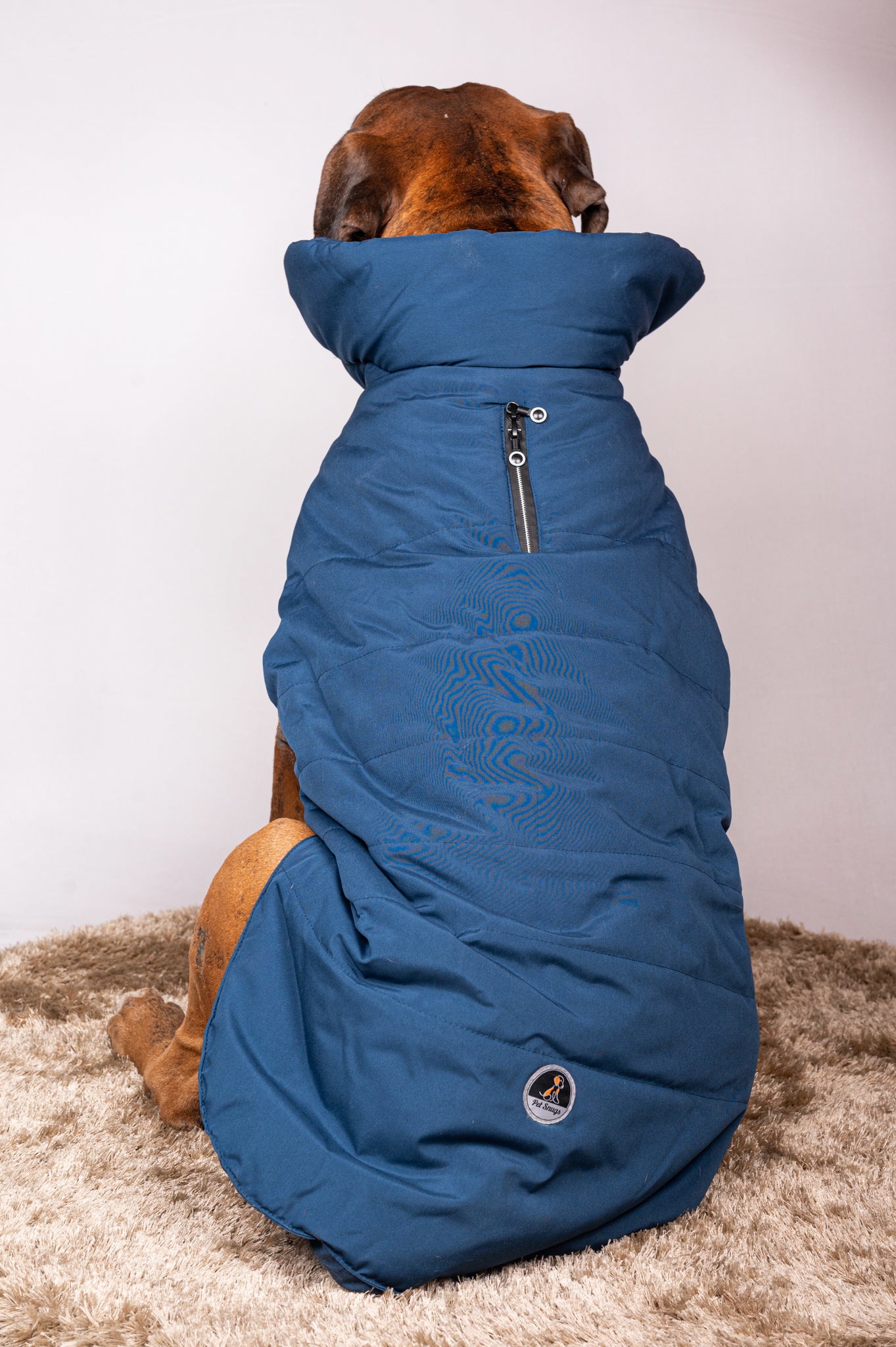 Pet snugs Blue Jacket - Royal Blue