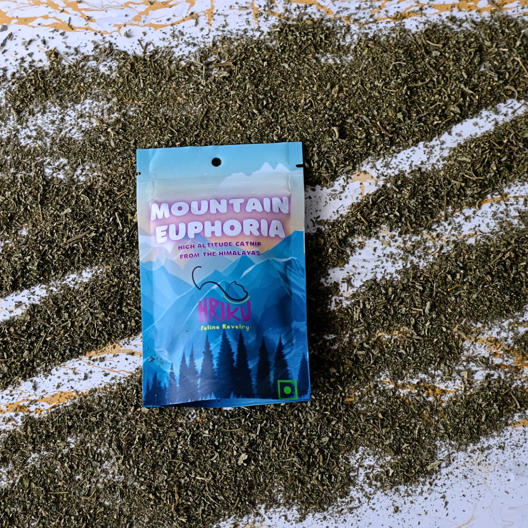 HRIKU-Mountain-Euphoria---Naturally-Grown-High-Altitude-Himalayan-Catnip-Treat-for-Cats---10-gm