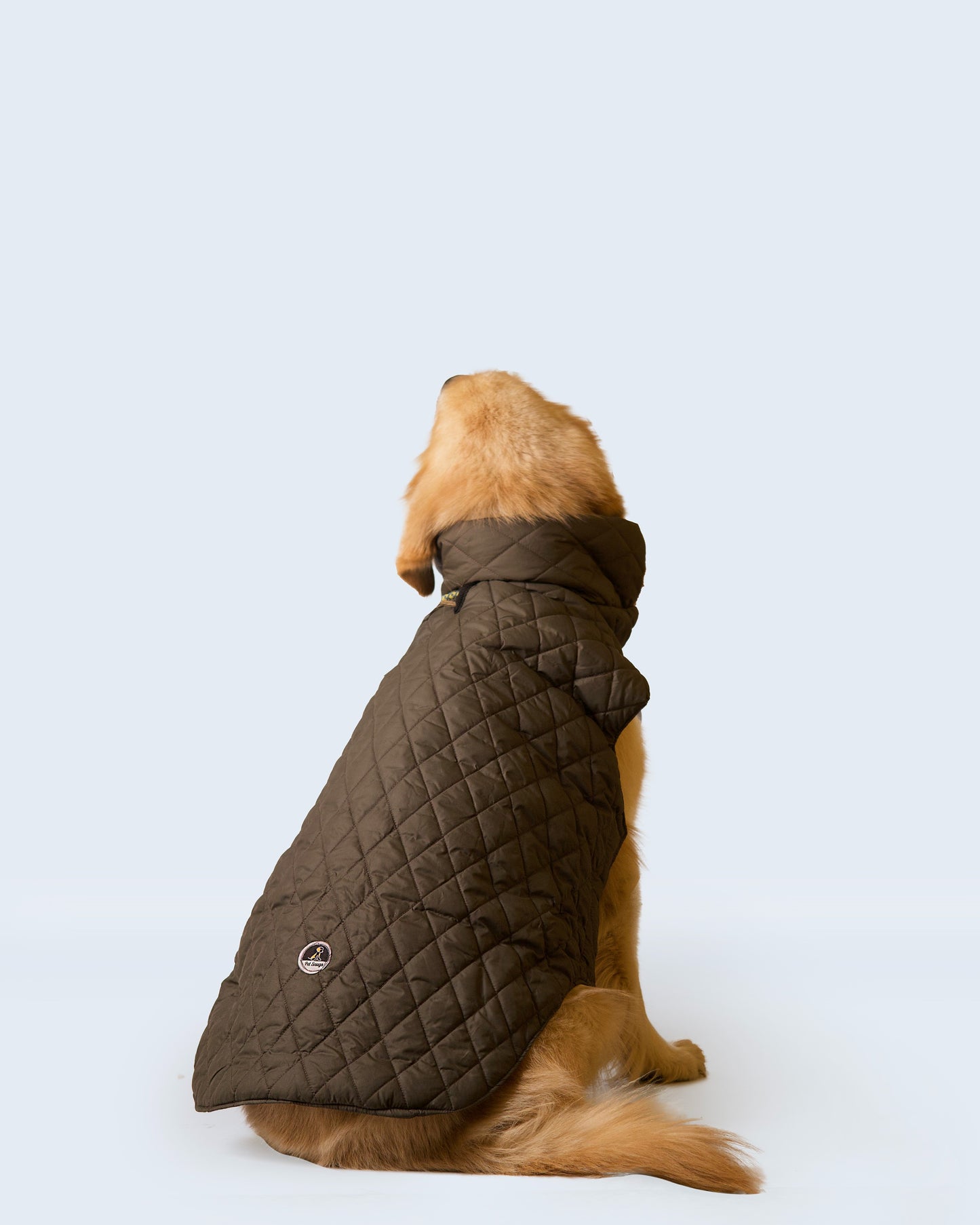 Pet snugs Olive Green Jacket - Olive Green