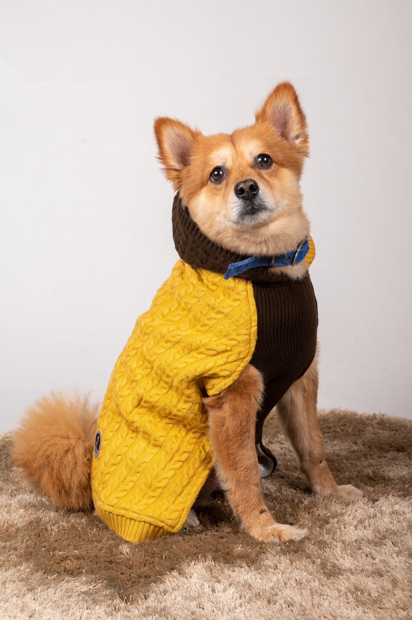 Petsnugs Cable Knit Sweater - Brown & Mustard