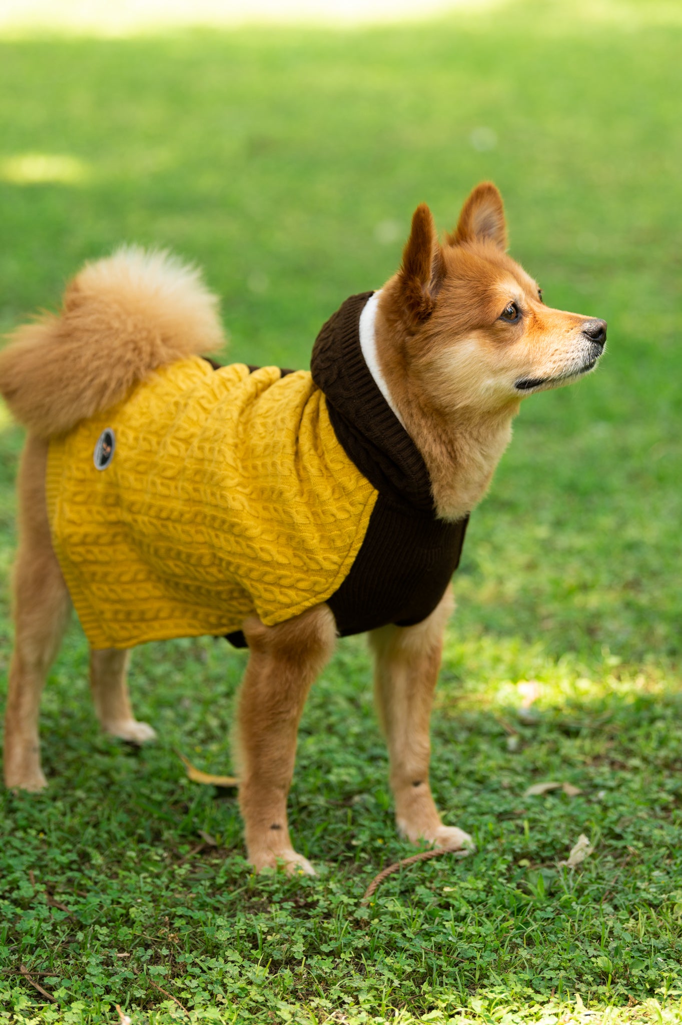 Petsnugs Cable Knit Sweater - Brown & Mustard