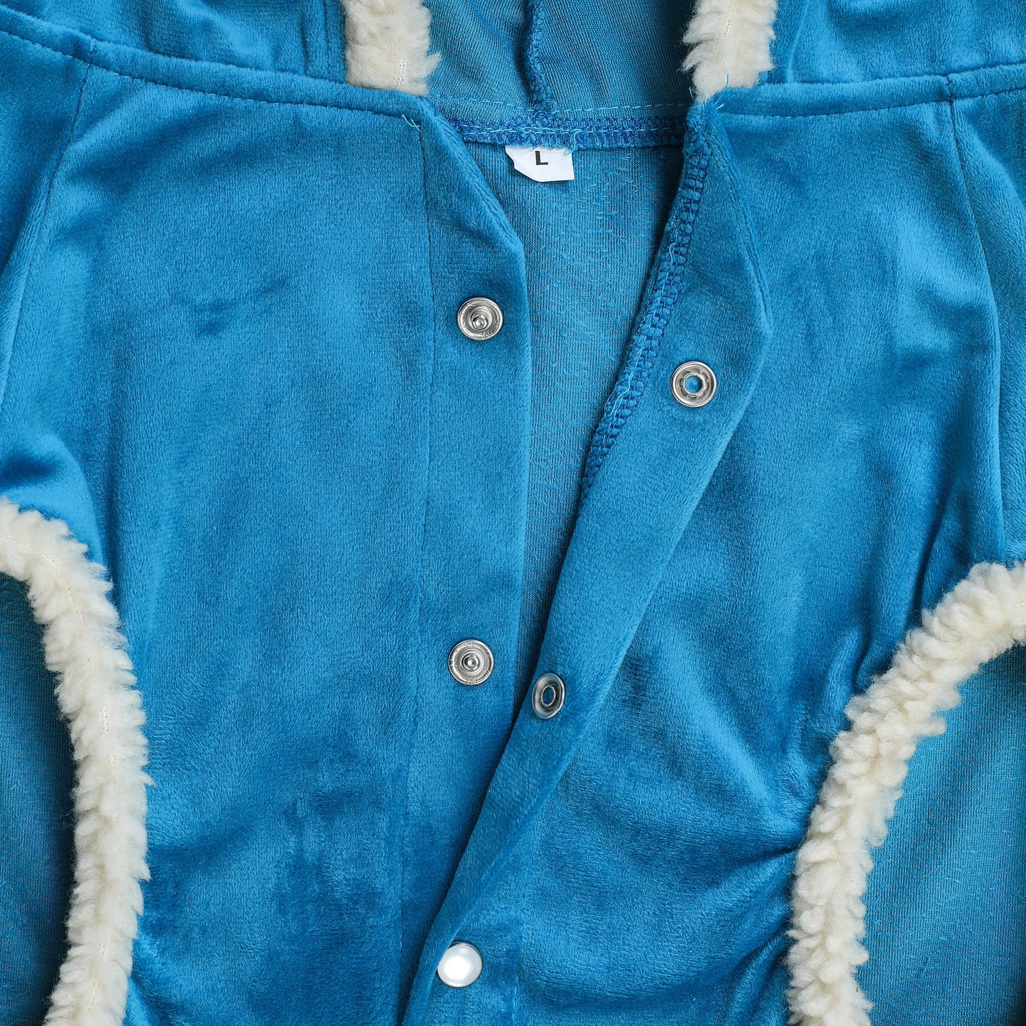 Dog Hoodie (Teal Blue  With Fur)