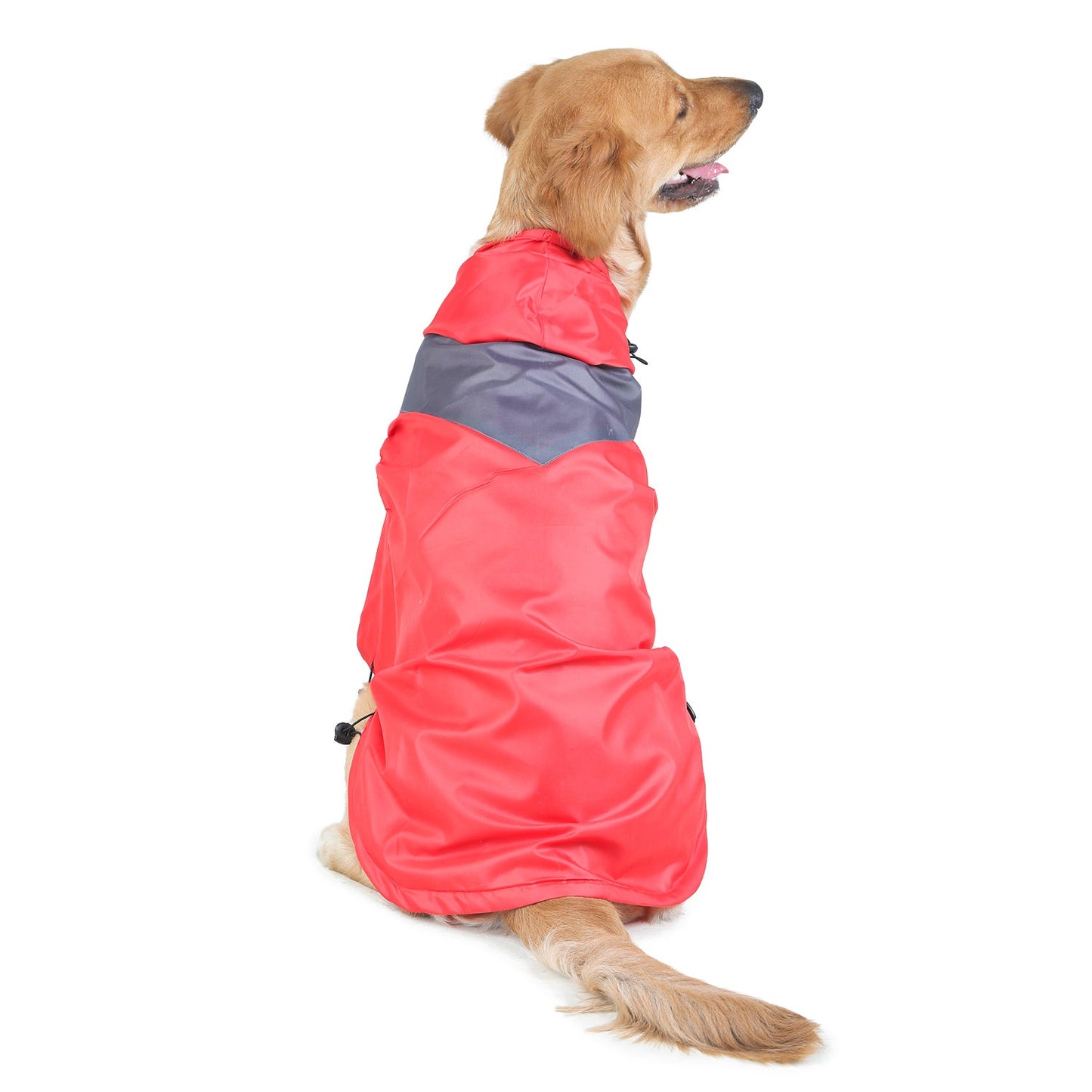 Raincoats For Dogs