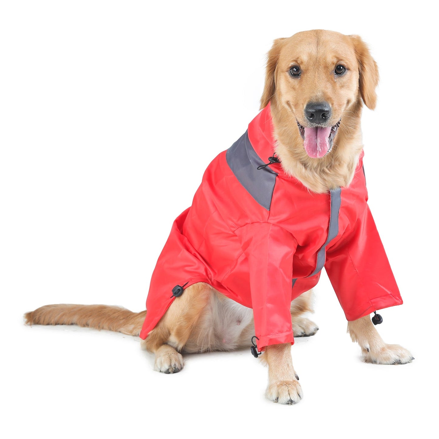 Raincoats For Dogs