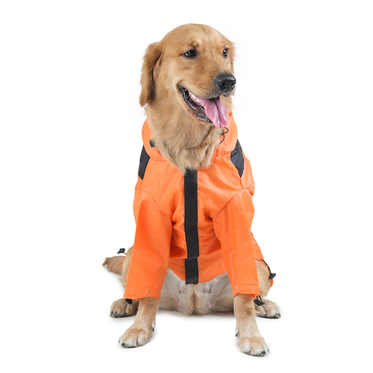 Raincoats For Dogs