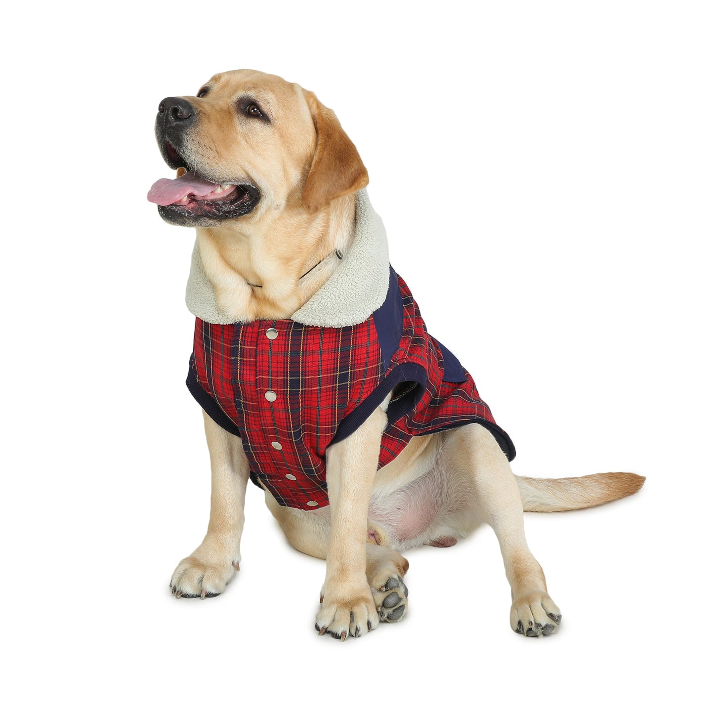 Thermapet Plaid Fur Coat