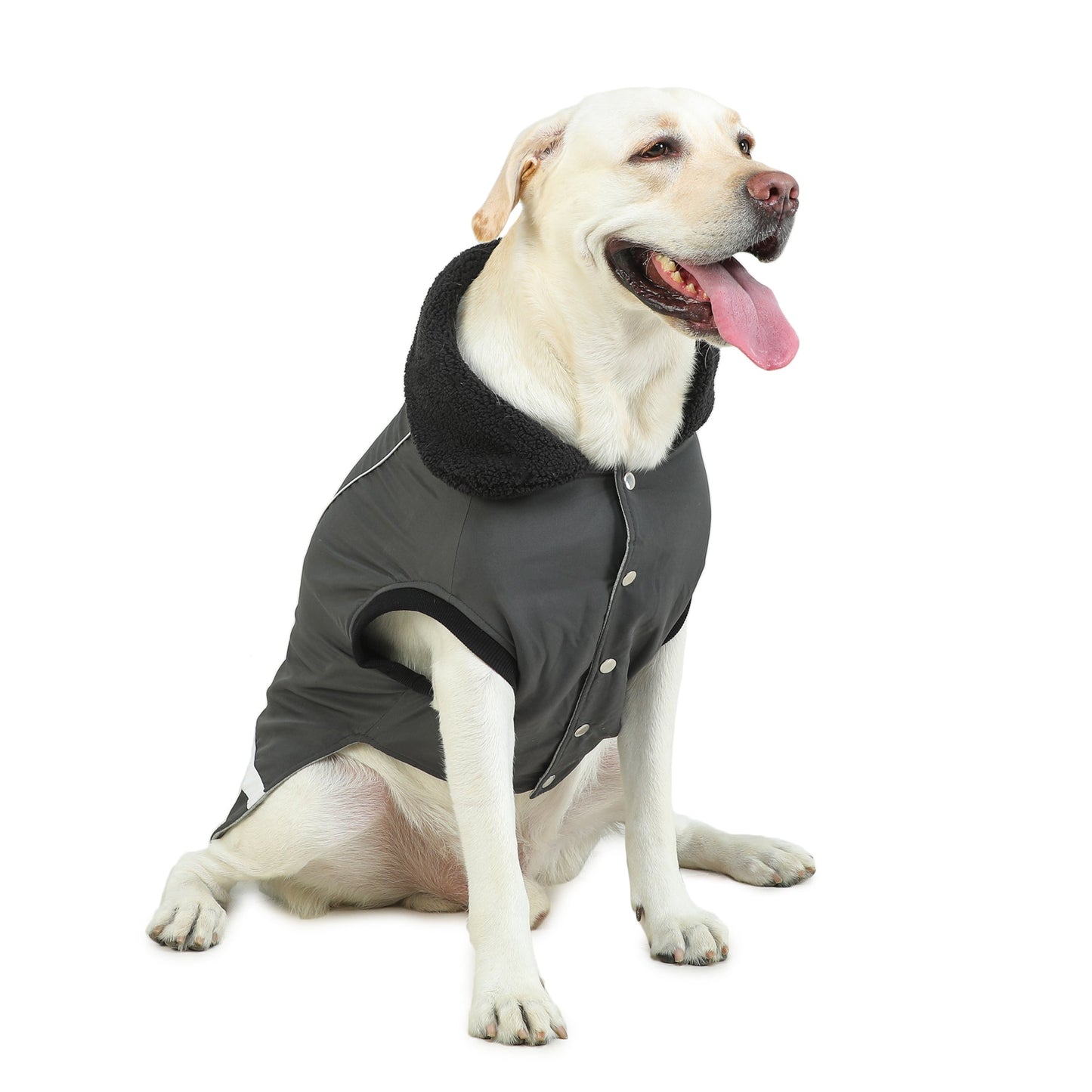 Dog Jacket Grey Microfiber Insulated Coat