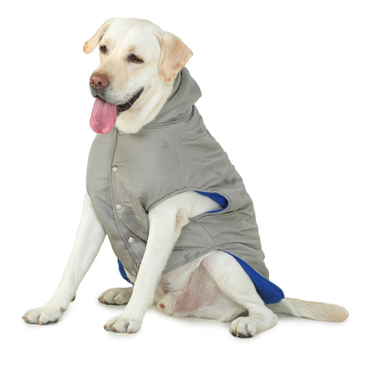 Micro Grey Dog Jacket