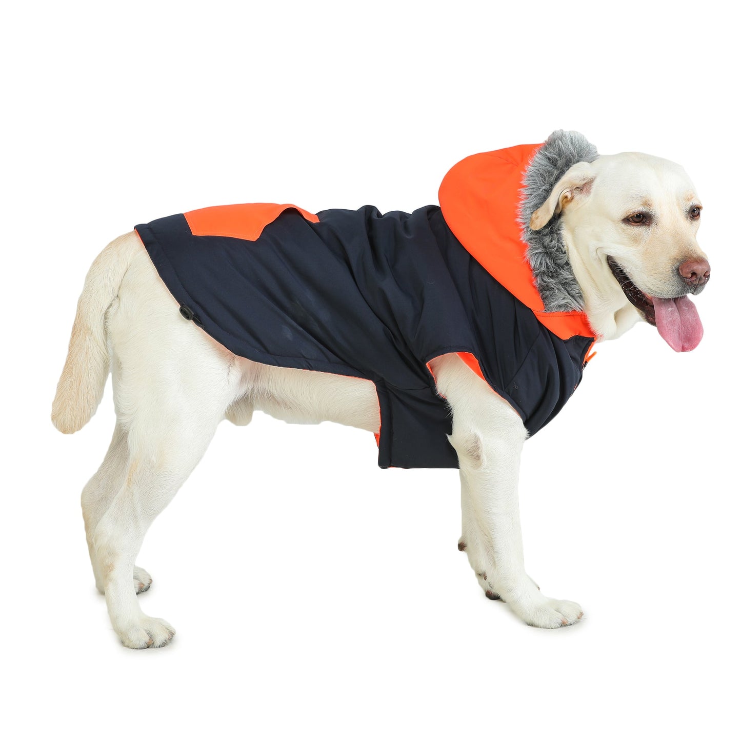 Navy/Orange Dog Jacket With Zipper