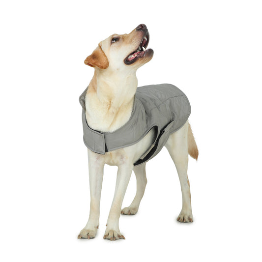 Dog Jacket (Grey Micro Padded)