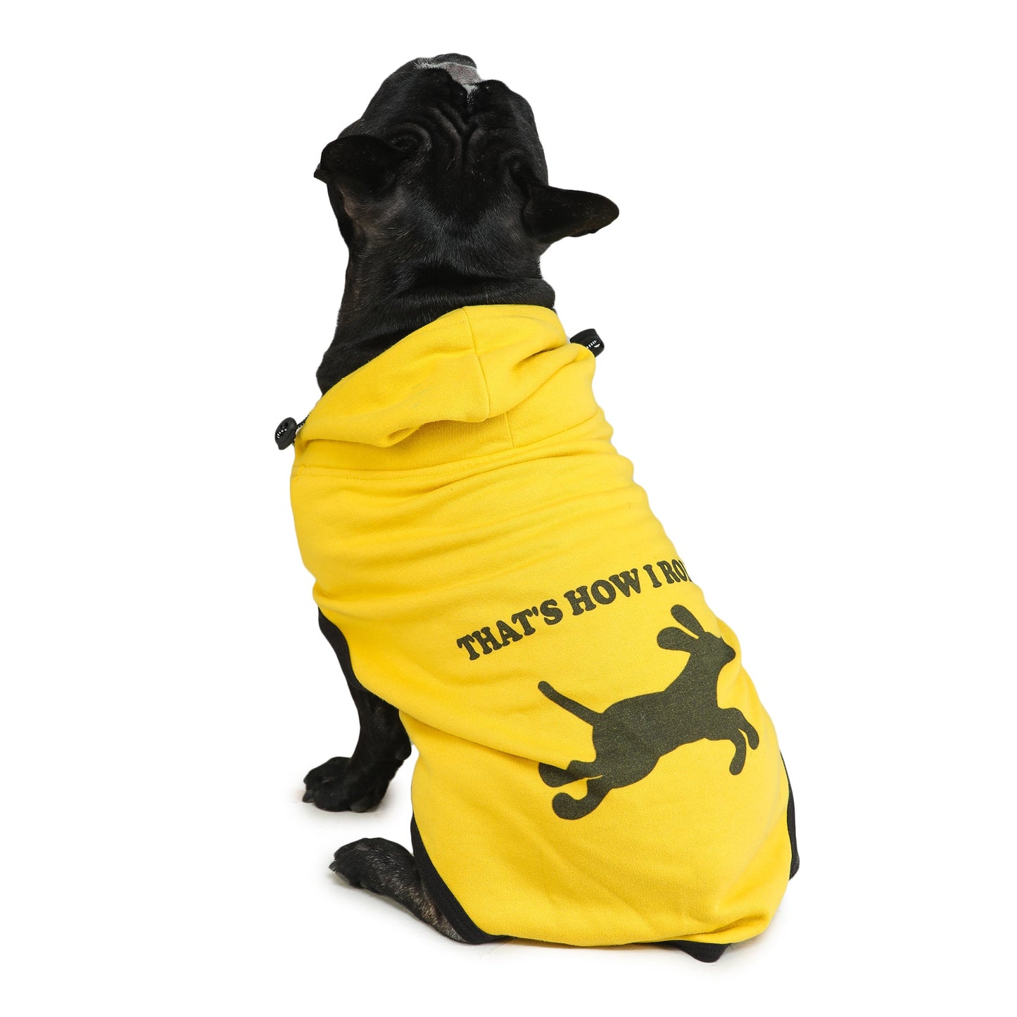 Dog Hoodie (That's How I Roll)