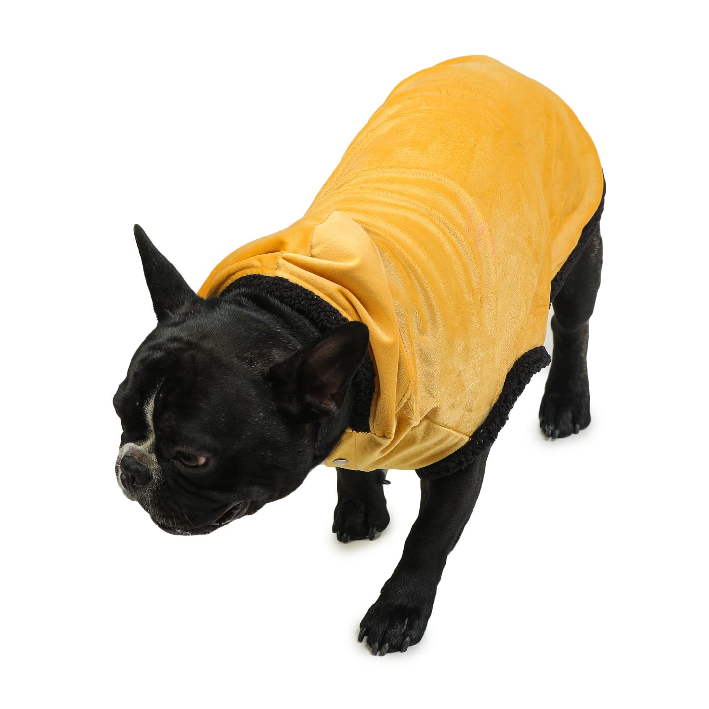 Dog Hoodie (Yellow Velvet With Fur)