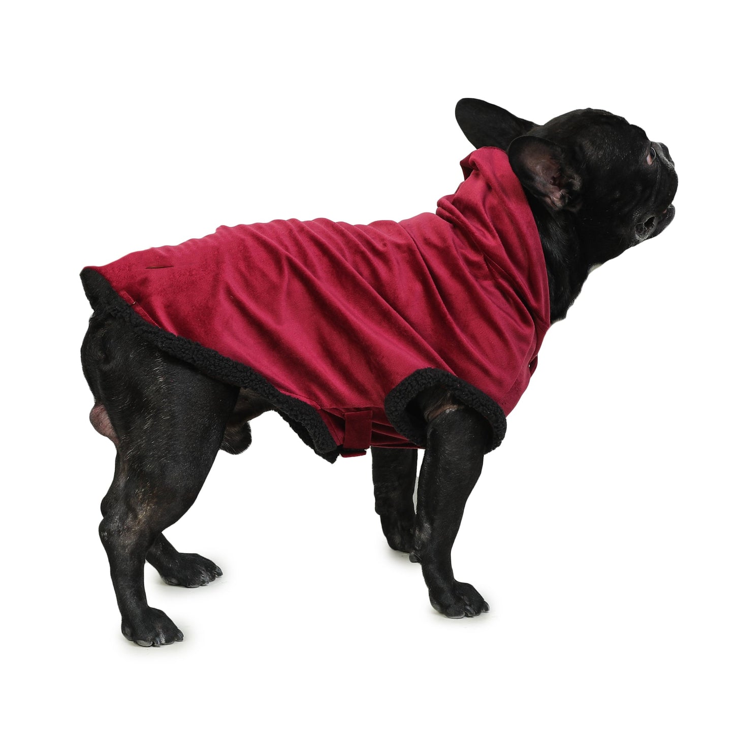 Dog Hoodie (Maroon Velvet With Fur)