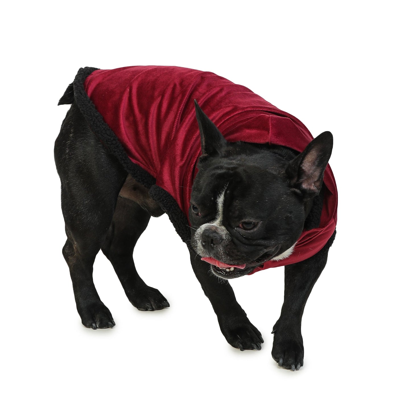 Dog Hoodie (Maroon Velvet With Fur)