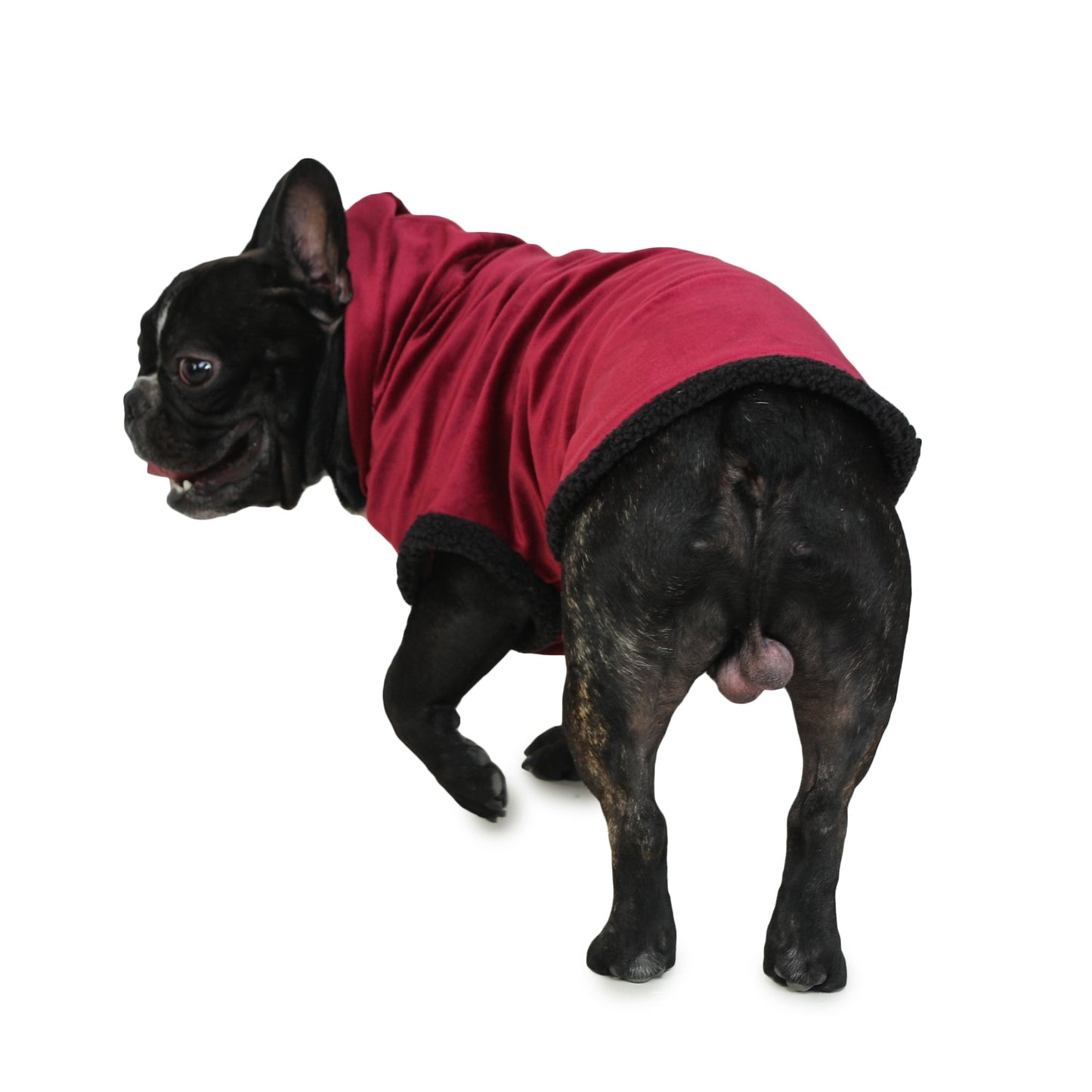 Dog Hoodie (Maroon Velvet With Fur)