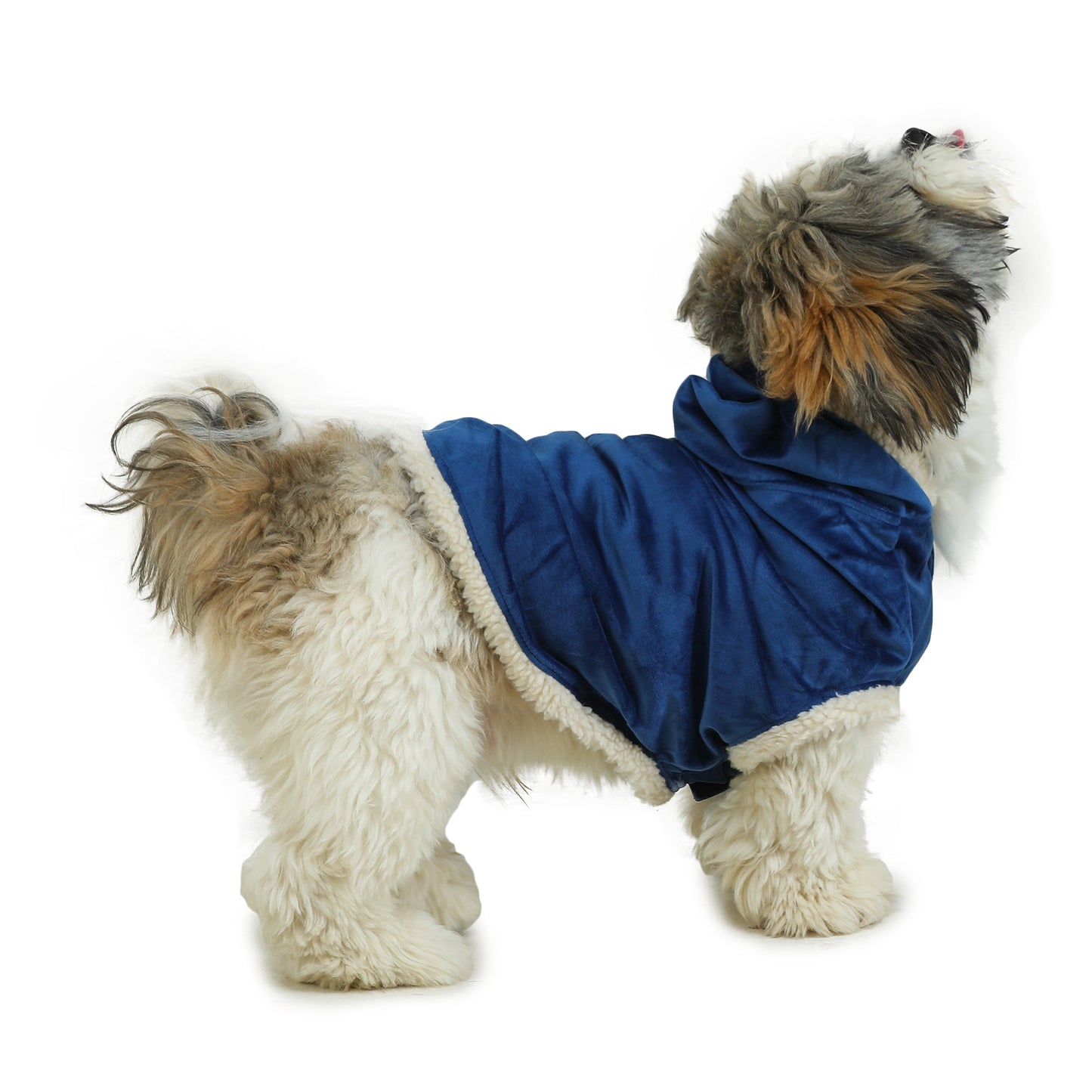 Navy Blue Dog Hoodie With Fur