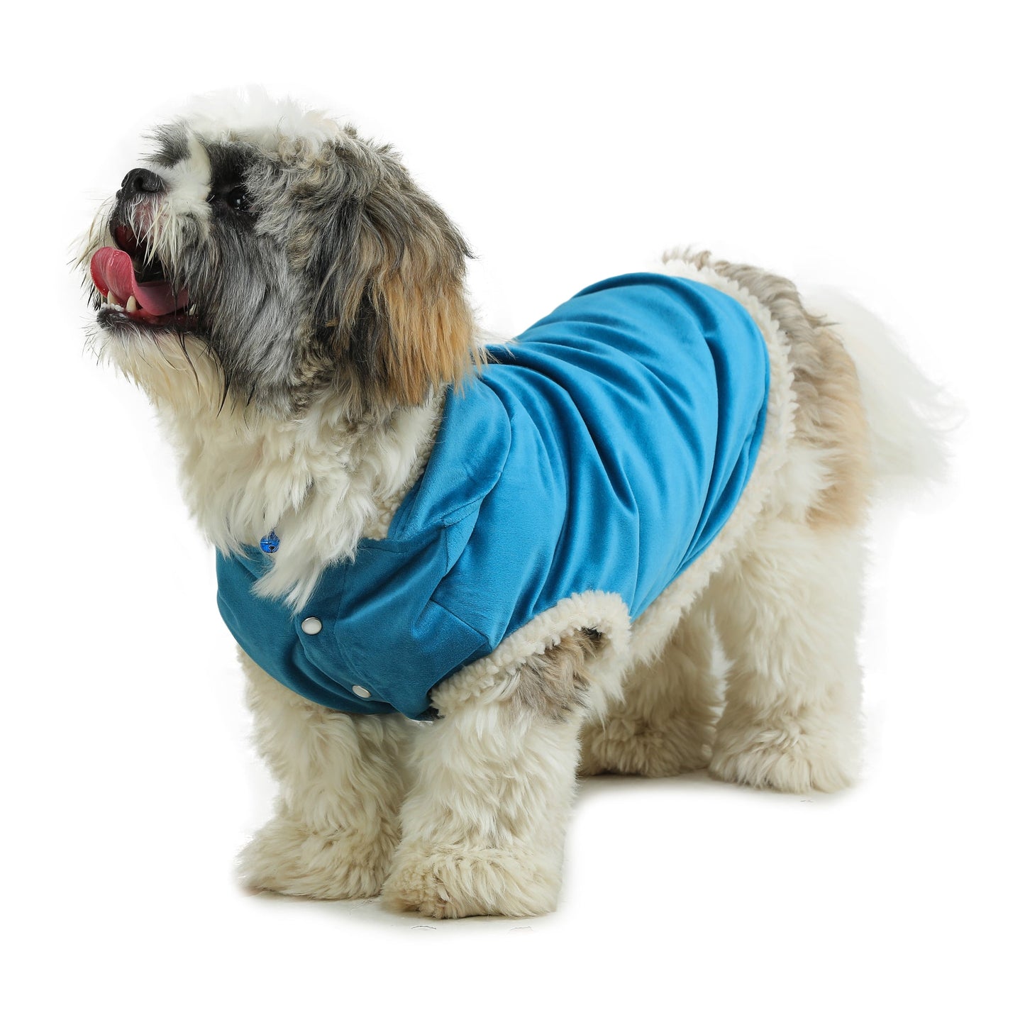 Dog Hoodie (Teal Blue  With Fur)