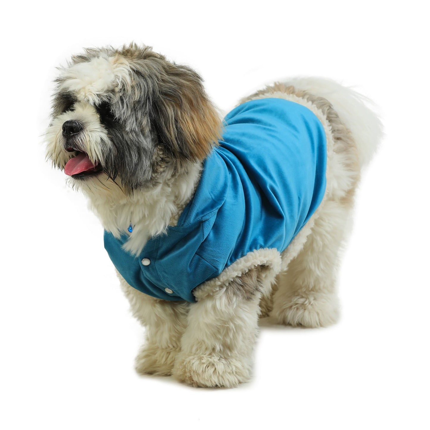 Dog Hoodie (Teal Blue  With Fur)