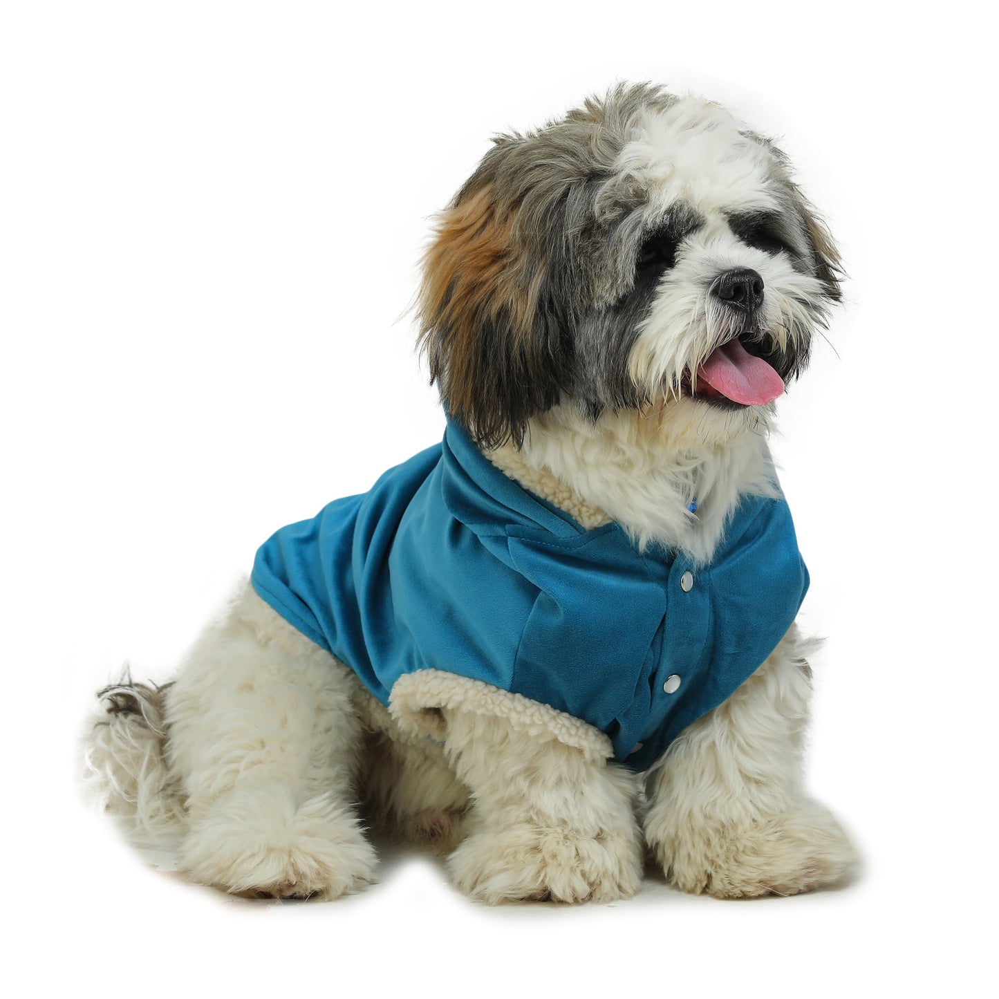 Dog Hoodie (Teal Blue  With Fur)