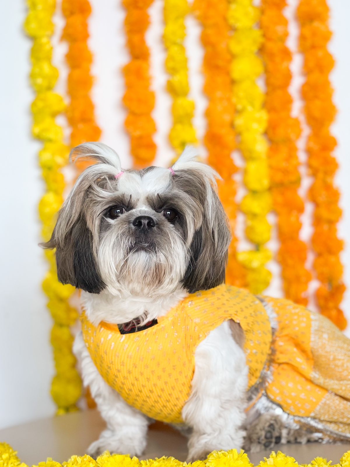 Pleaty Yellow Lehenga