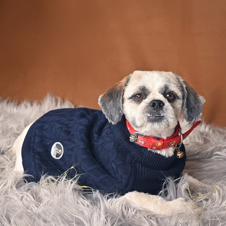 Petsnugs Cable Knit Sweater