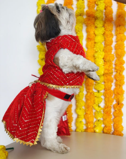 Red Velvet Lehenga