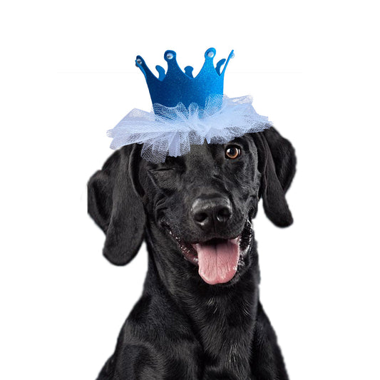 Pawsindia Pet Crown - Blue