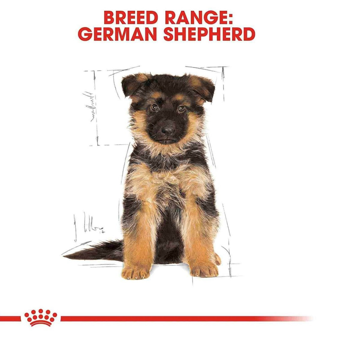 Royal Canin German Shepherd Junior/Puppy Food