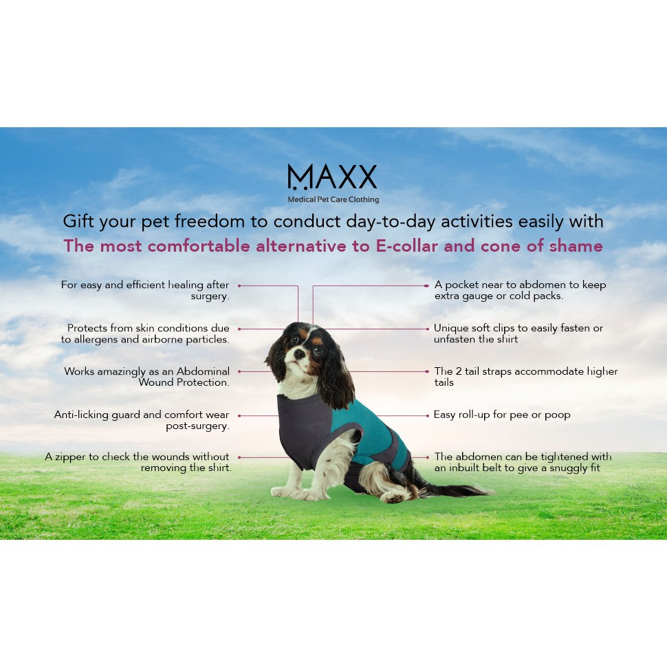 MAXX Recovery Suit for Dogs, E Collar Alternative - Peacock Blue Gray