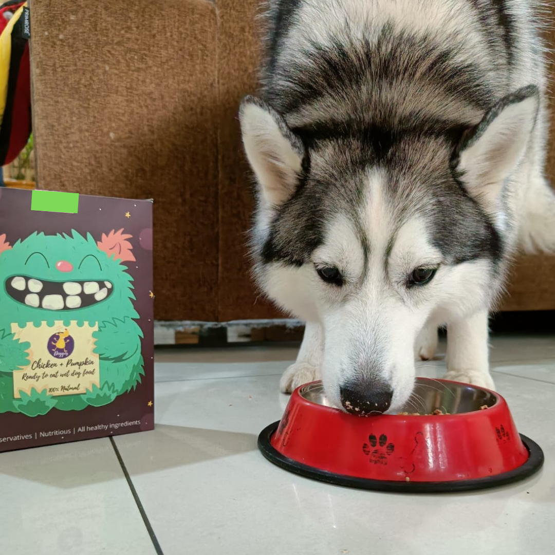 Doggos Big Monster - Fresh Dog Food (5 Boxes of 800g each)