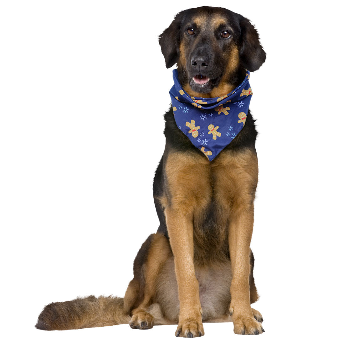 Gingerbread Cookie Bandana