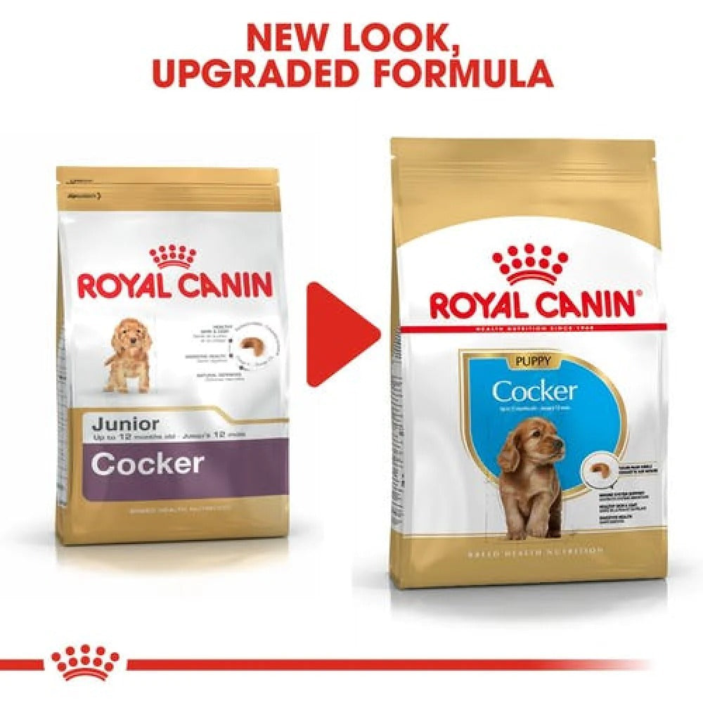 Royal Canin Cocker Spaniel Puppy Dry Food