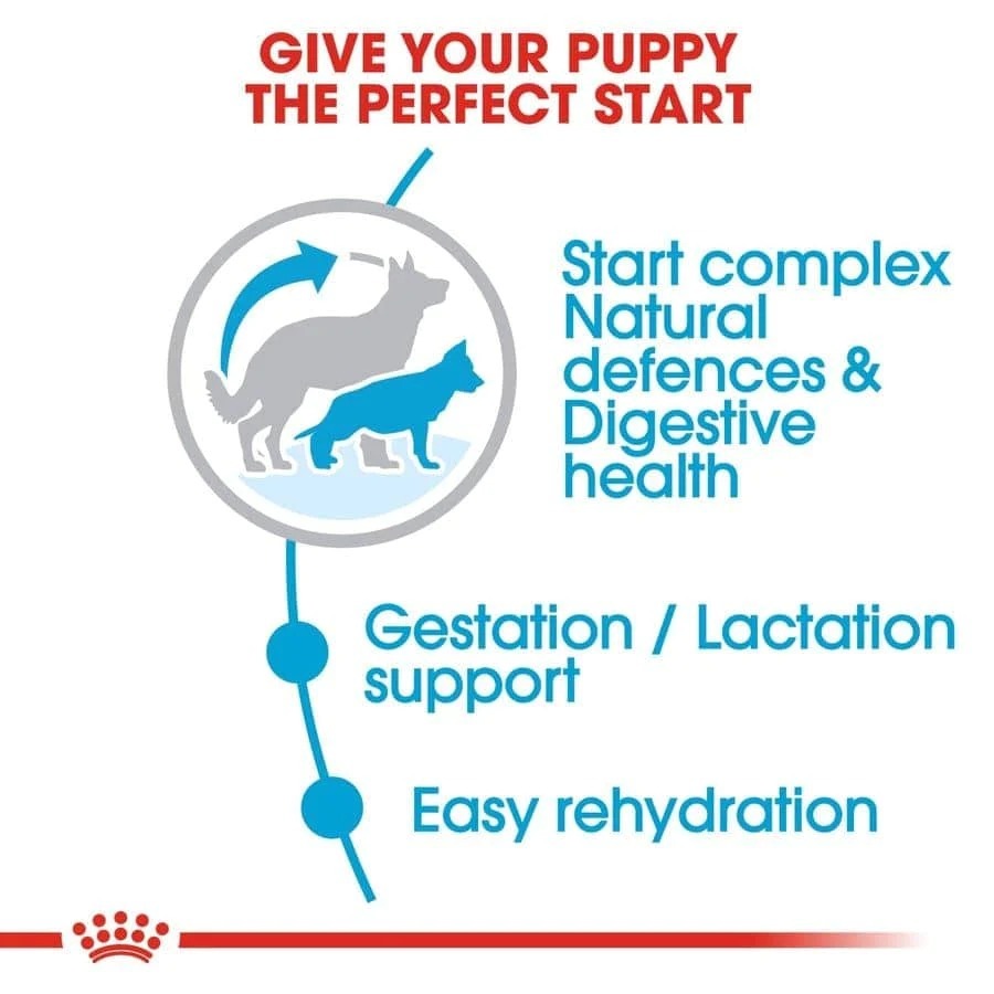 Royal Canin Maxi Starter Dry Food for Large Breed Dog and Puppies