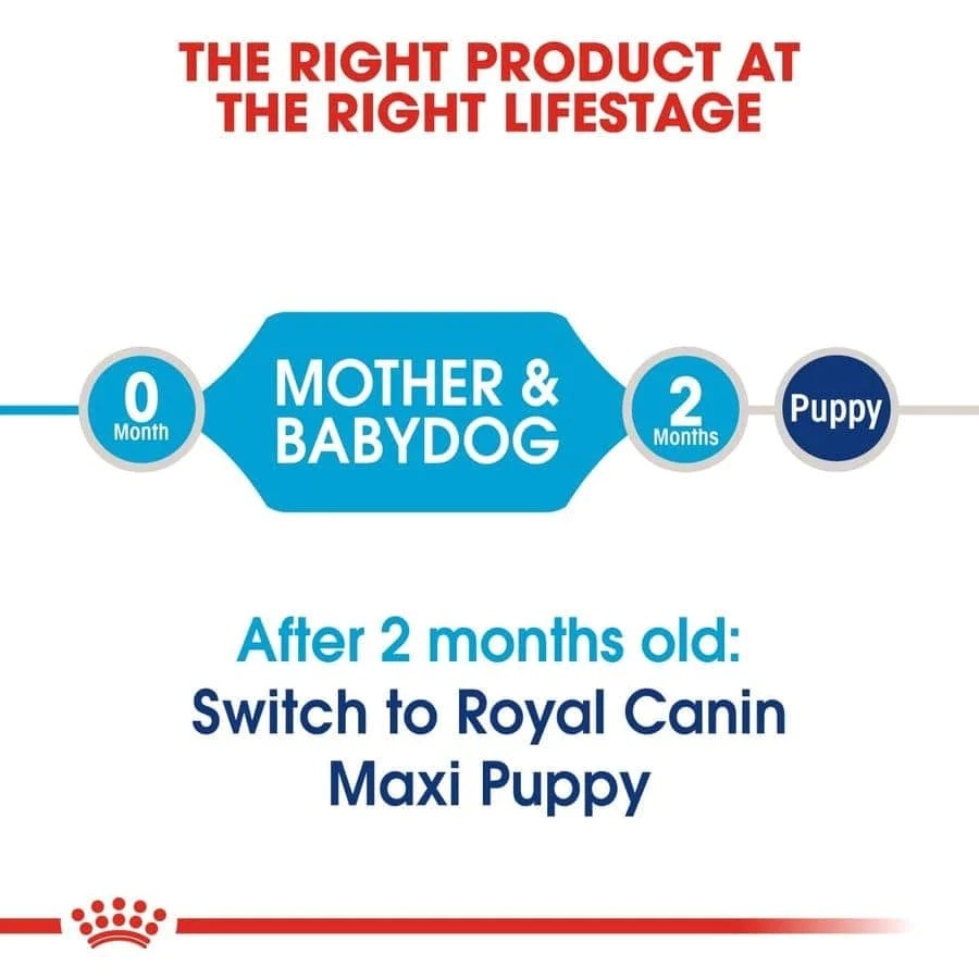 Royal Canin Maxi Starter Dry Food for Large Breed Dog and Puppies