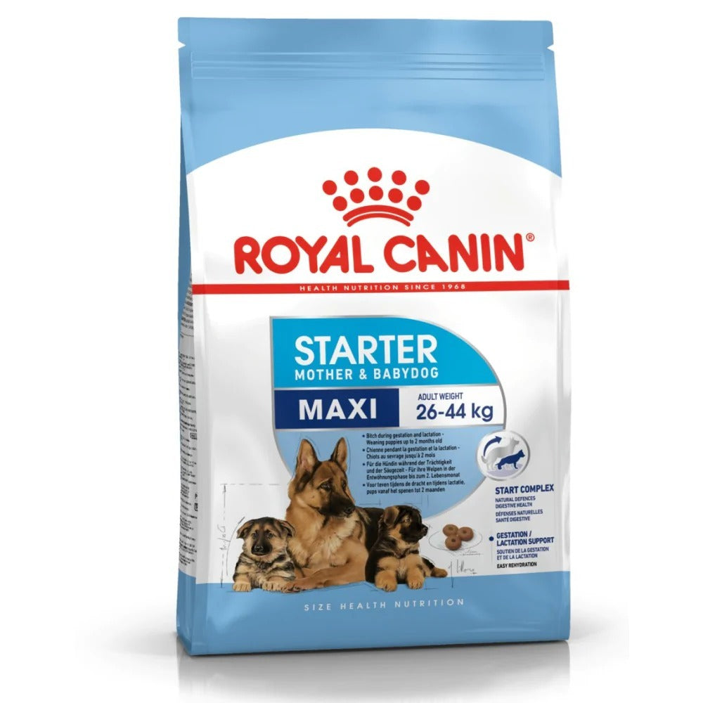 Royal Canin Maxi Starter Dry Food for Large Breed Dog and Puppies