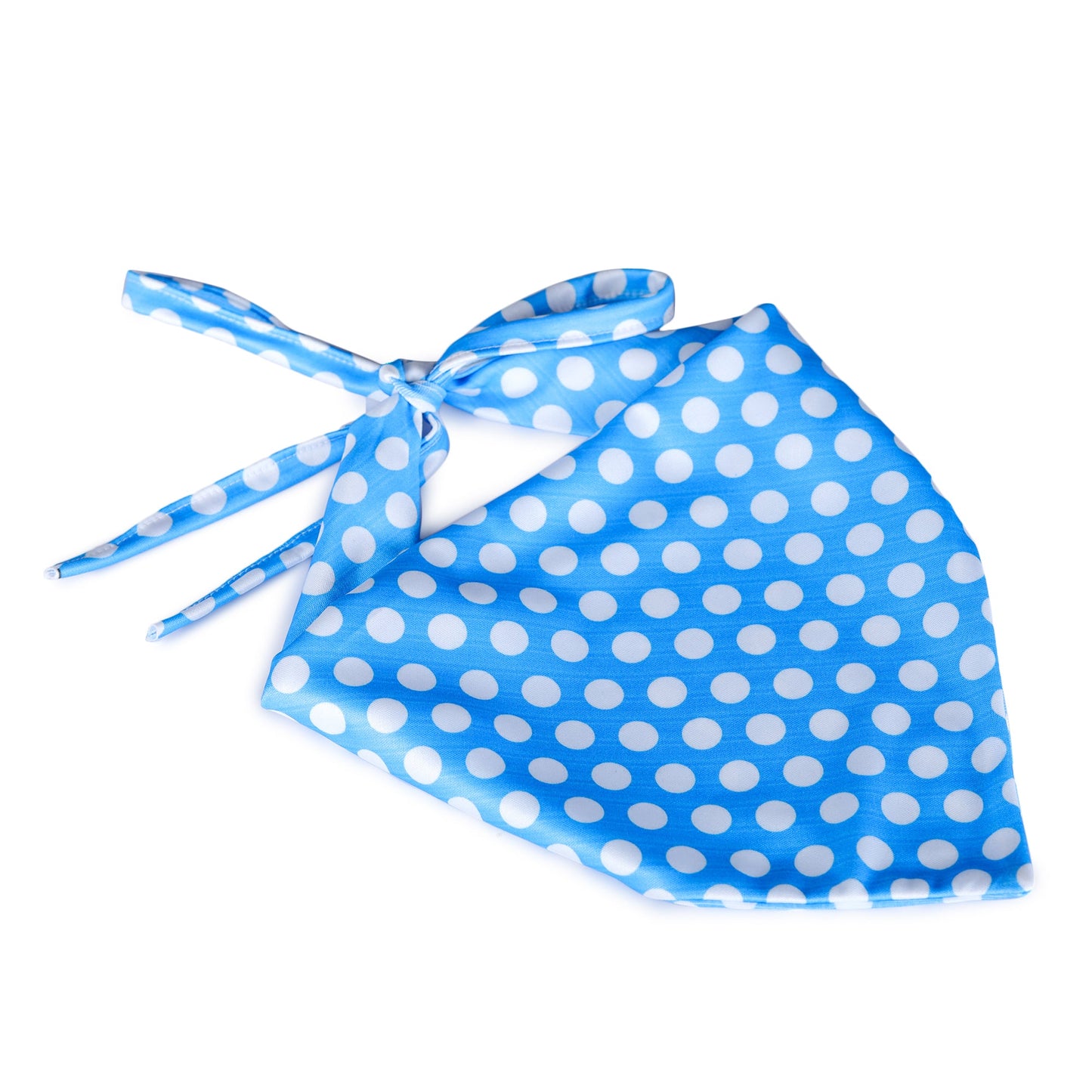 Sky Blue Polka Dot Twinning Bow & Bandana Set