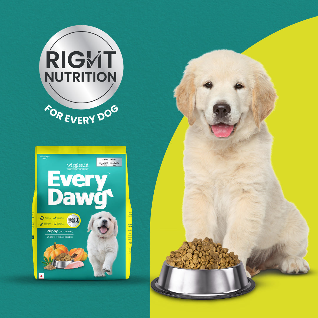 EveryDawg Puppy Dry Dog Food, 2-21 Months