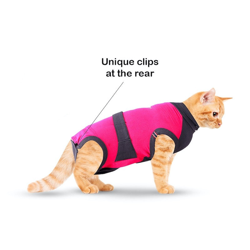 MAXX Recovery Suit for Cats, E Collar Alternative - Pink Gray