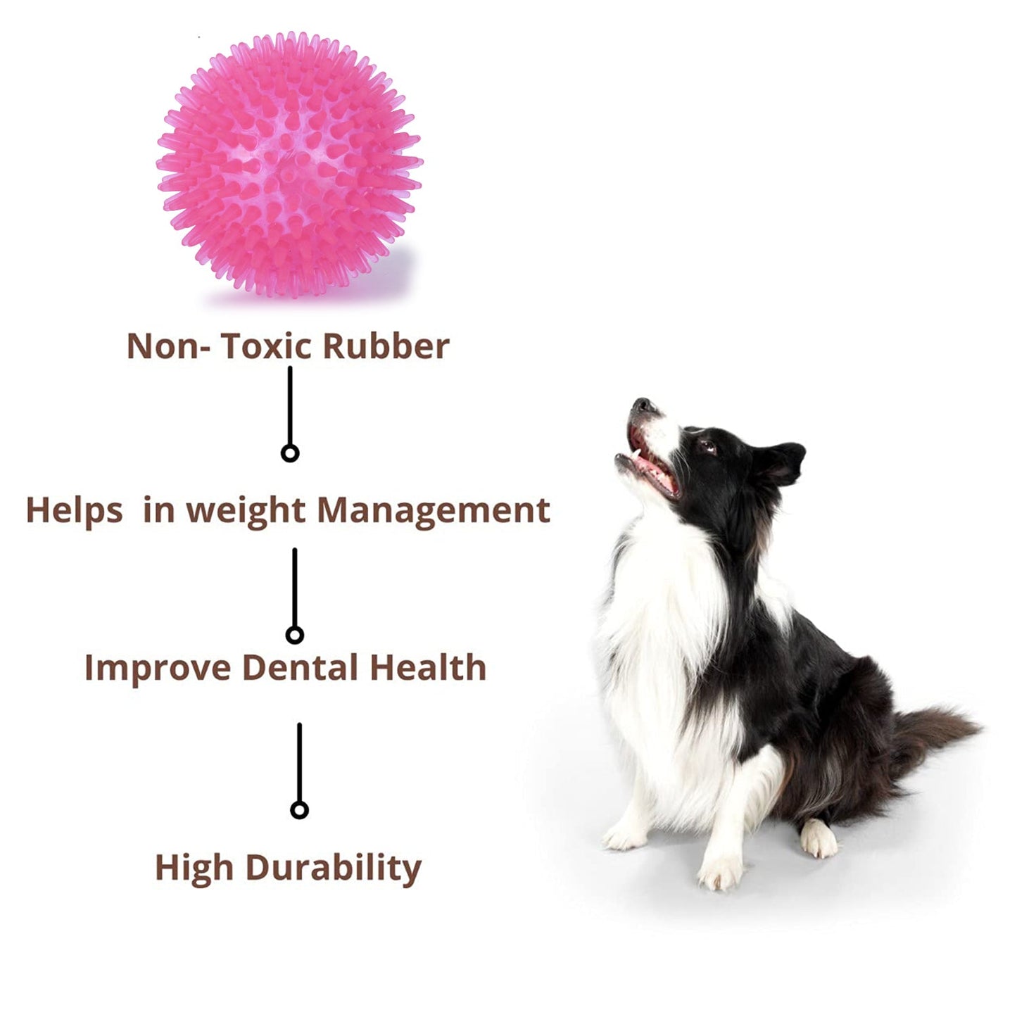 BASIL Spiked Squeaky Chew Ball for Dogs & Puppies (Pink)