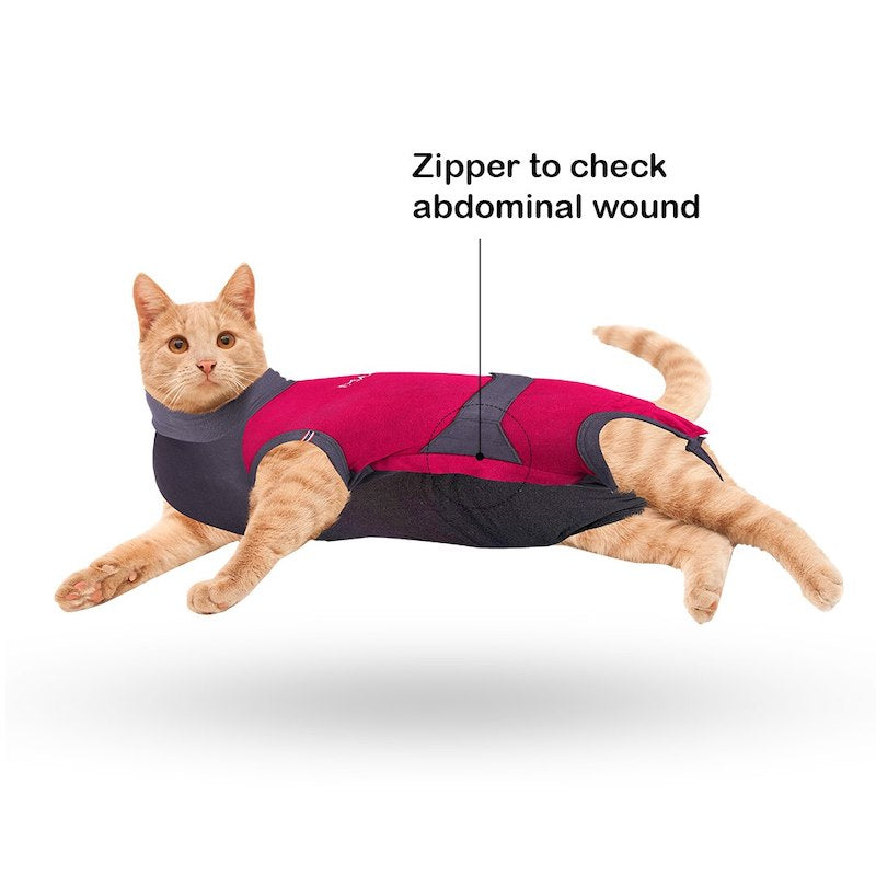 MAXX Recovery Suit for Cats, E Collar Alternative - Pink Gray