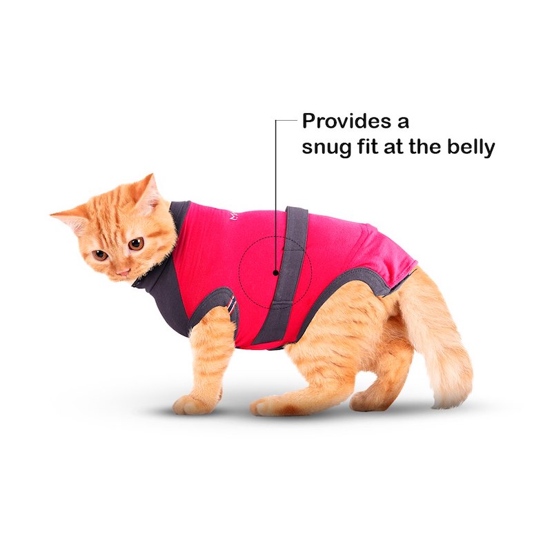 MAXX Recovery Suit for Cats, E Collar Alternative - Pink Gray