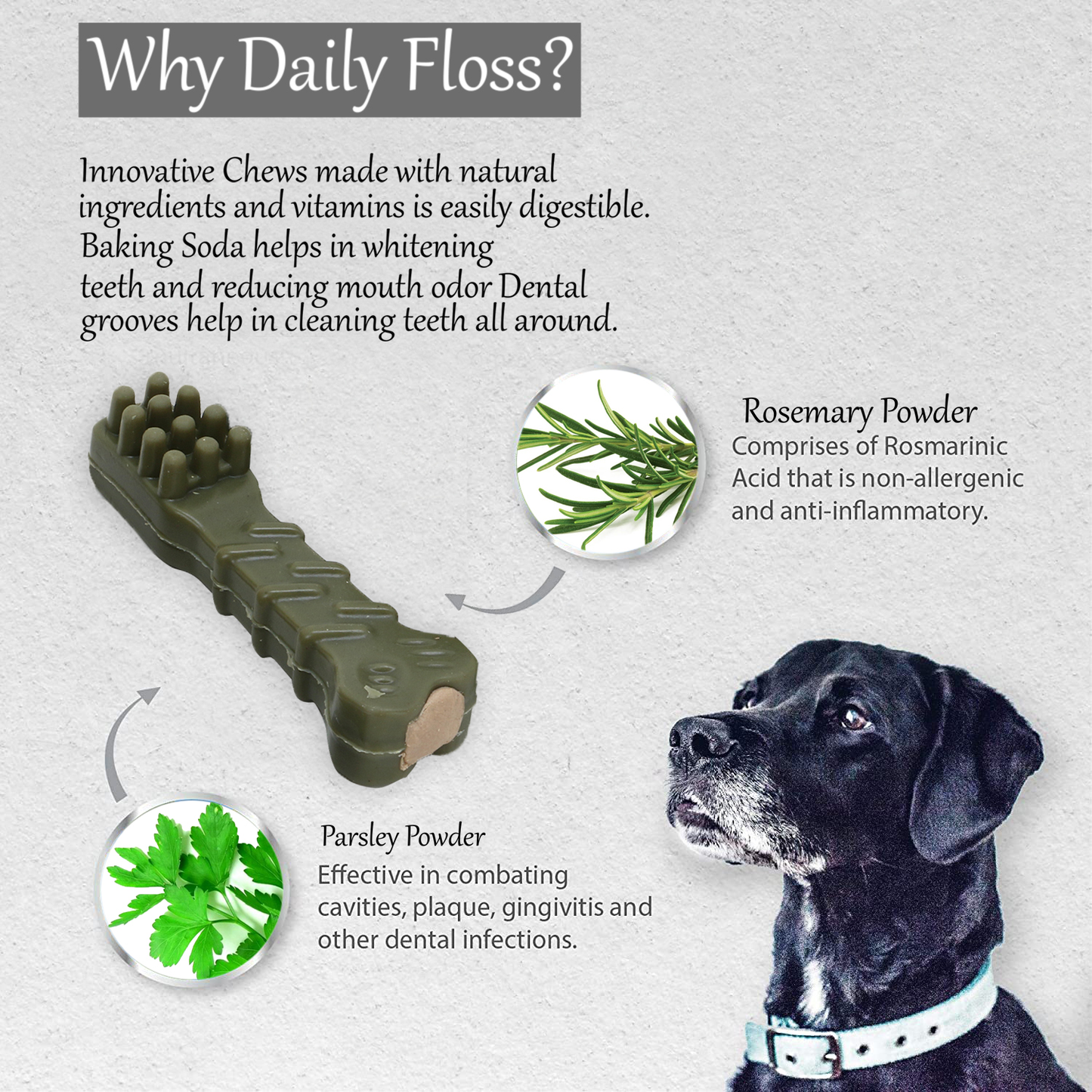 BASIL Daily Floss Toothpaste Filled Chew Treat for Dogs & Puppies | 150 Grams